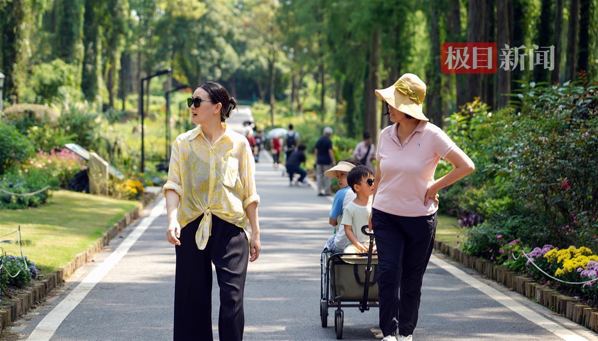 鑫乐娱乐场